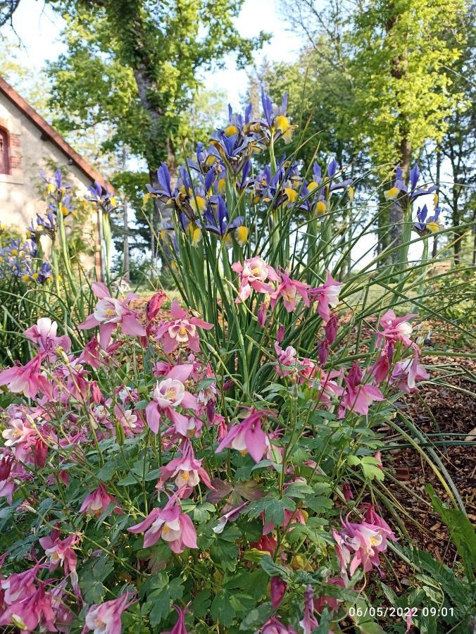 הוילה Mornay-sur-Allier The Cosy Retreat מראה חיצוני תמונה